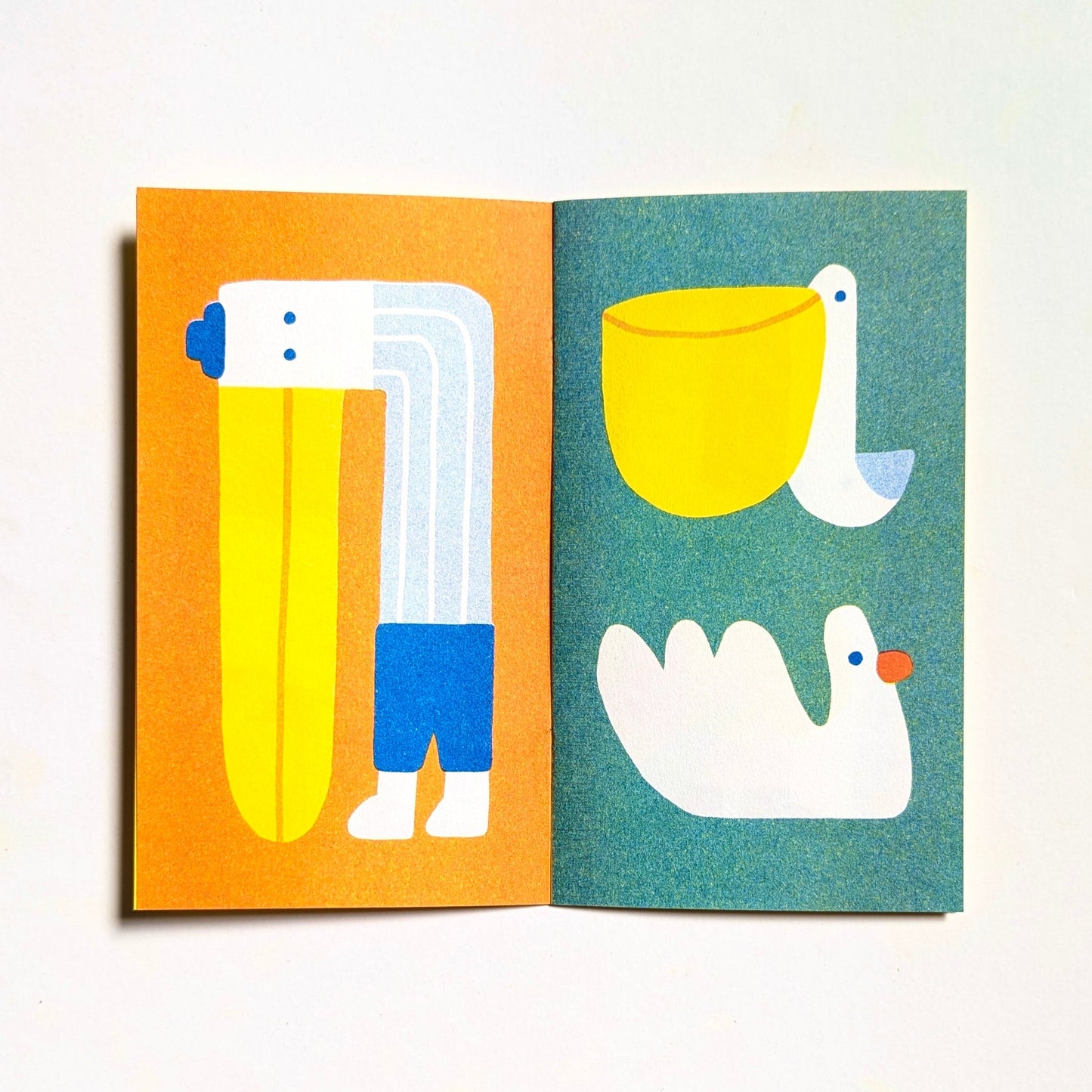 Birdwatching Zine