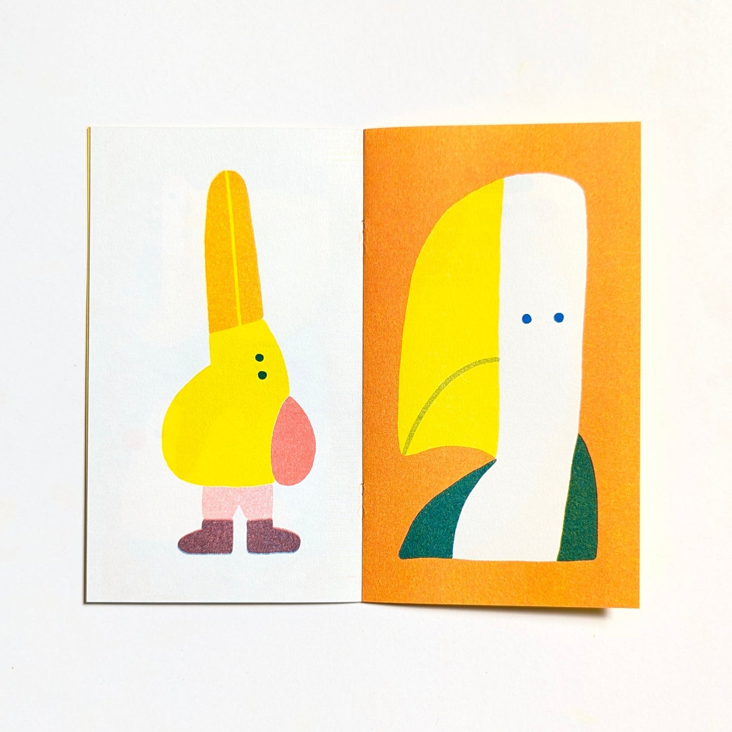 Birdwatching Zine